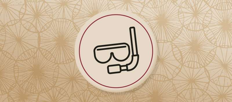 Informationen zu Thailands besten Tauch- und Schnorchelspots